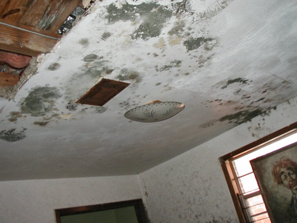 Textured Ceiling After Water Damage