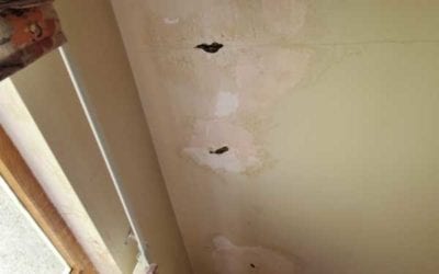 Mastering Drywall Restoration in Vancouver: Cost, Techniques, and Choosing the Best Professionals
