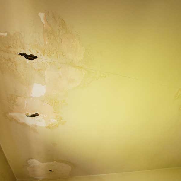 ceiling drywall repair north Vancouver